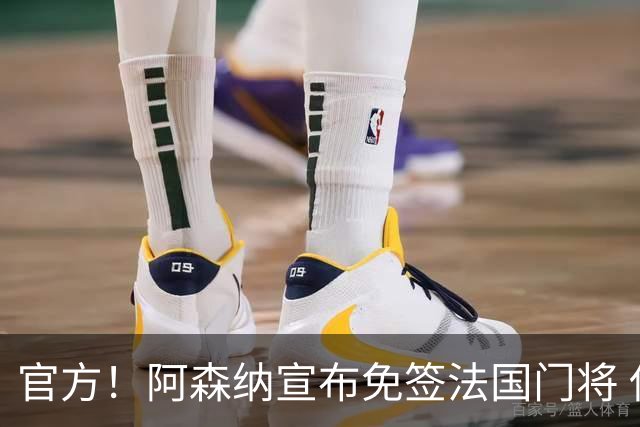 官方！阿森纳宣布免签法国门将 伊兰-梅利耶加盟披30号
