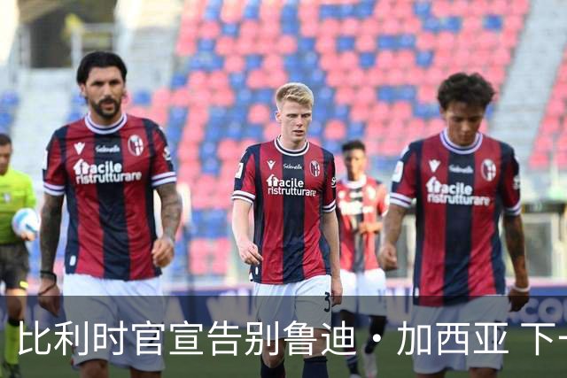 比利时官宣告别鲁迪·加西亚 下一任主帅是荷兰人？